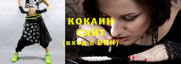 прущий лед Алзамай