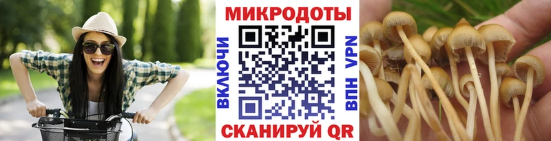 Псилоцибиновые грибы мицелий  цена   Среднеколымск 